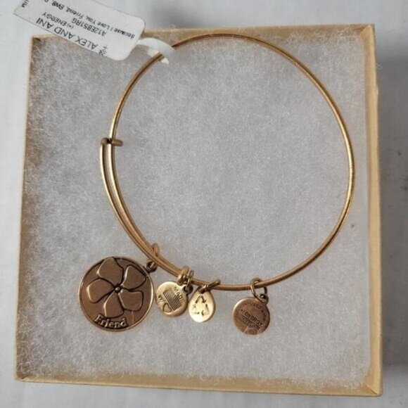 Alex & Ani Because I Love You Friend Gold Plated Charm Bracelet - Picture 1 of 4